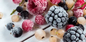 glace carbonique conservation des fruits, viandes