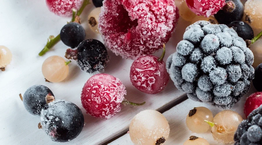 glace Carbonique secteur agroalimentaire